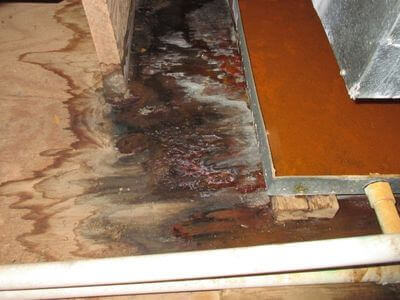 About water damage restoration service - storm damage restoration experts in Long Beach
